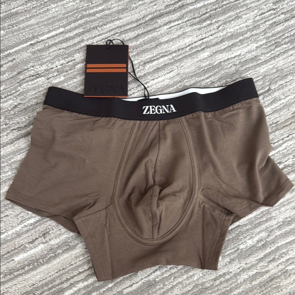 Men's Zegna Brown Trunks